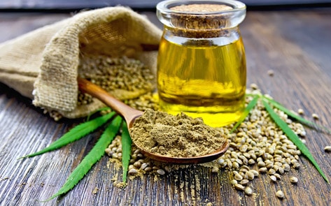 New Zealand Dairy Farmers Now Grow Hemp