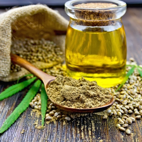 New Zealand Dairy Farmers Now Grow Hemp