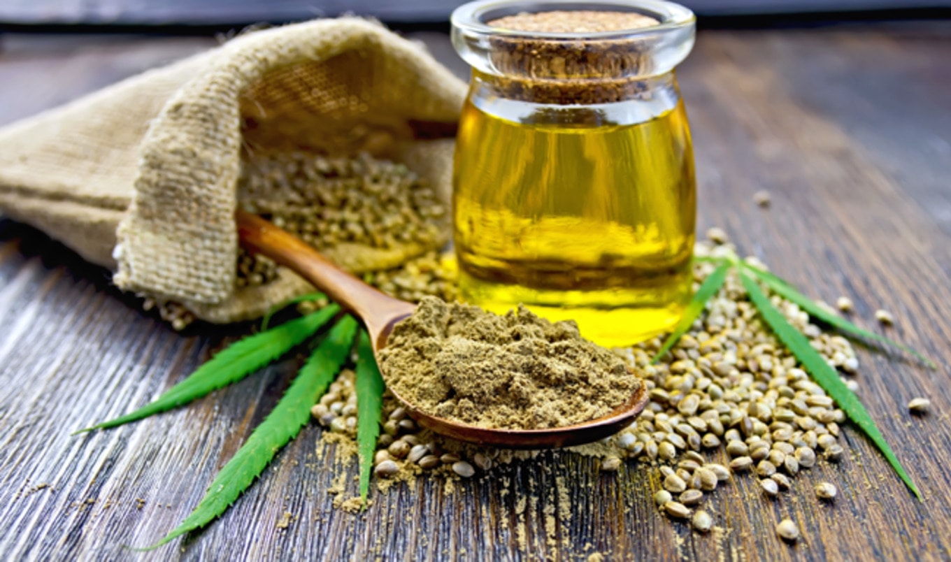 New Zealand Dairy Farmers Now Grow Hemp