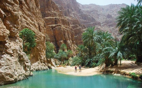 VegNews.Oman