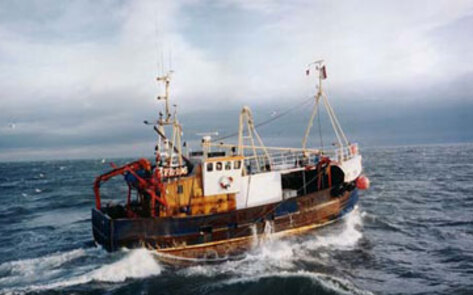 Factory-Farmed Fish Ban