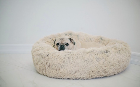 7 Ways to Veganize Your Bed, Just in Time for Valentine's Day