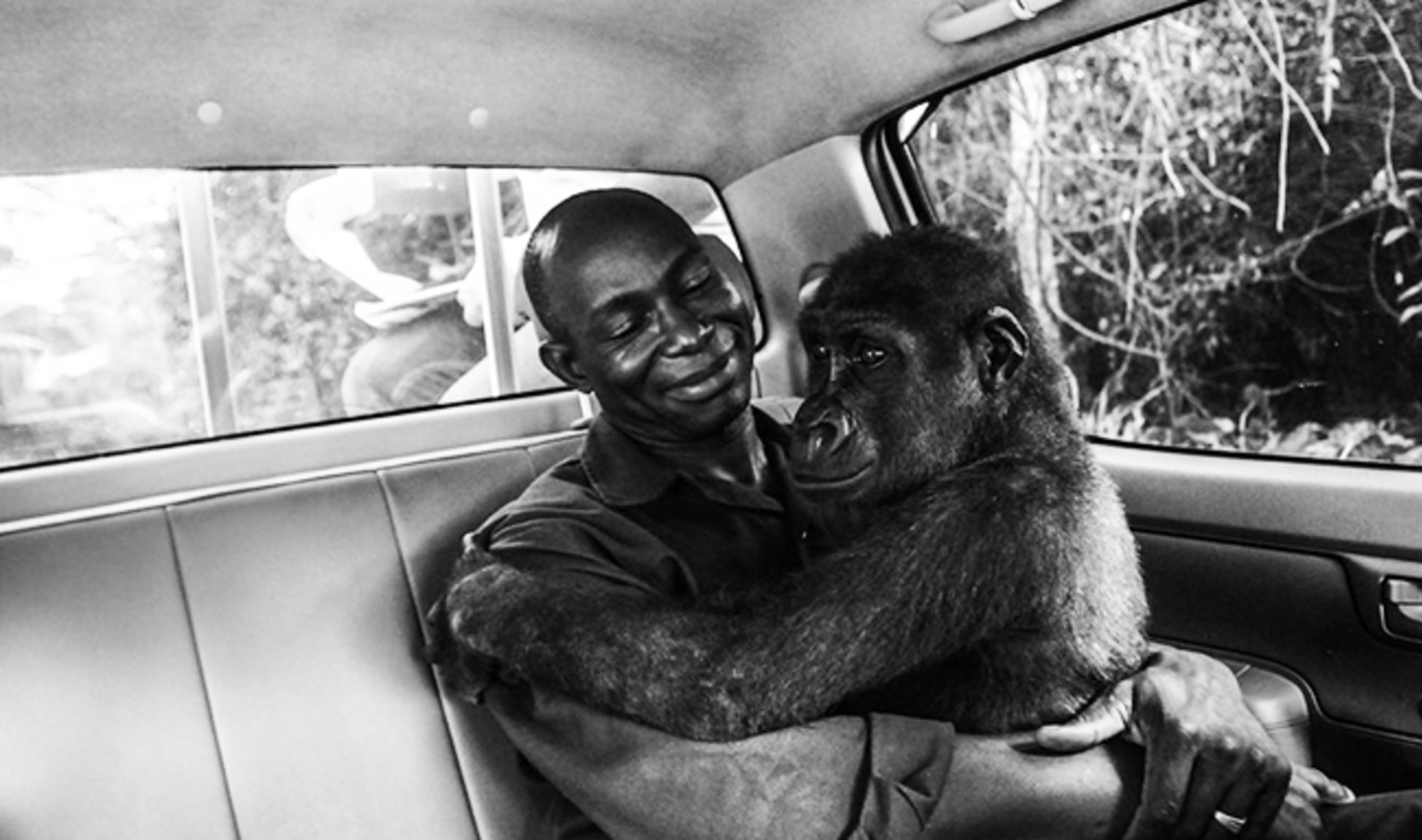 Vegan Wins Wildlife Photographer of the Year