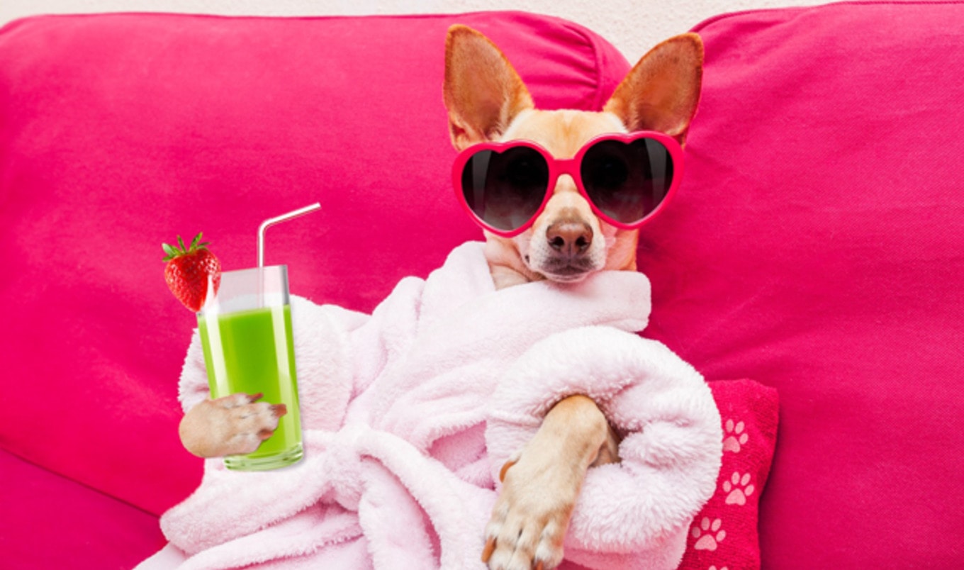 Why Going Vegan Can Help You Relax
