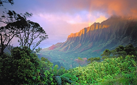 VegNews.Kauai
