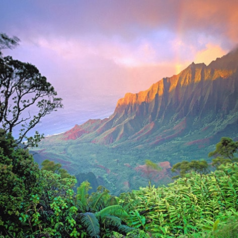 How to Eat Vegan on the Garden Isle of Kauai