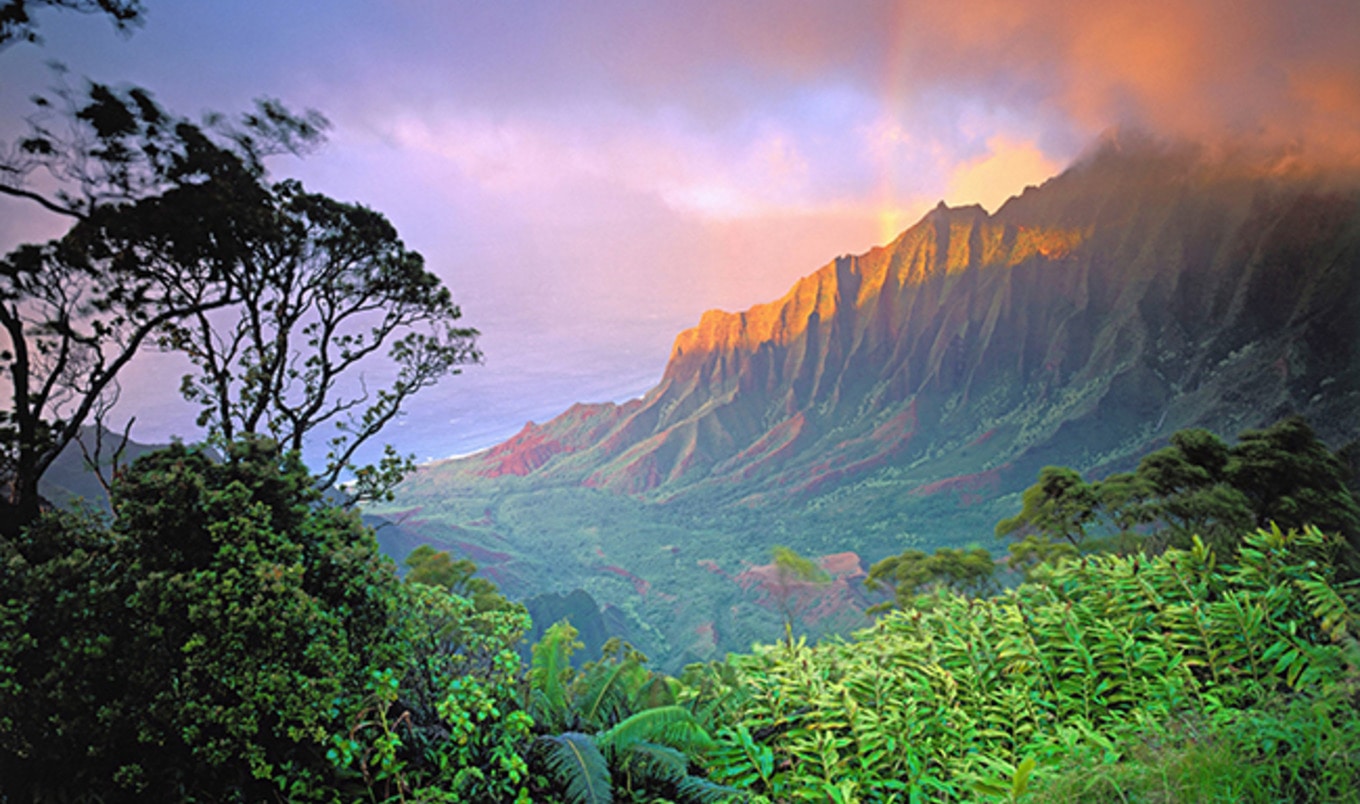 How to Eat Vegan on the Garden Isle of Kauai
