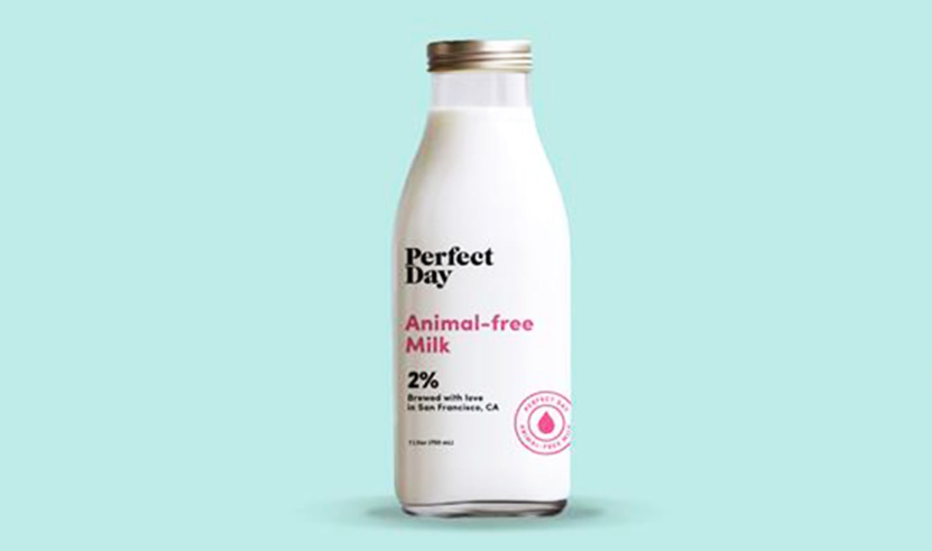 Tech Startup Helps Dairy Industry Make Vegan Products