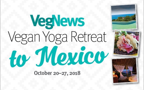 VegNewsVacations2018.Mexico.586x374.2