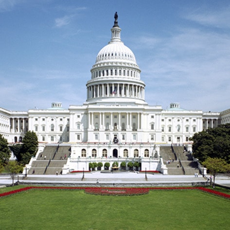 VegNewsCapitolHill
