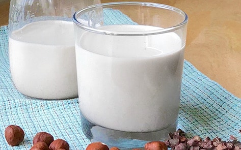 Vegan Hazelnut Cacao Milk