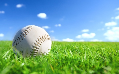 VegNewsBaseball4