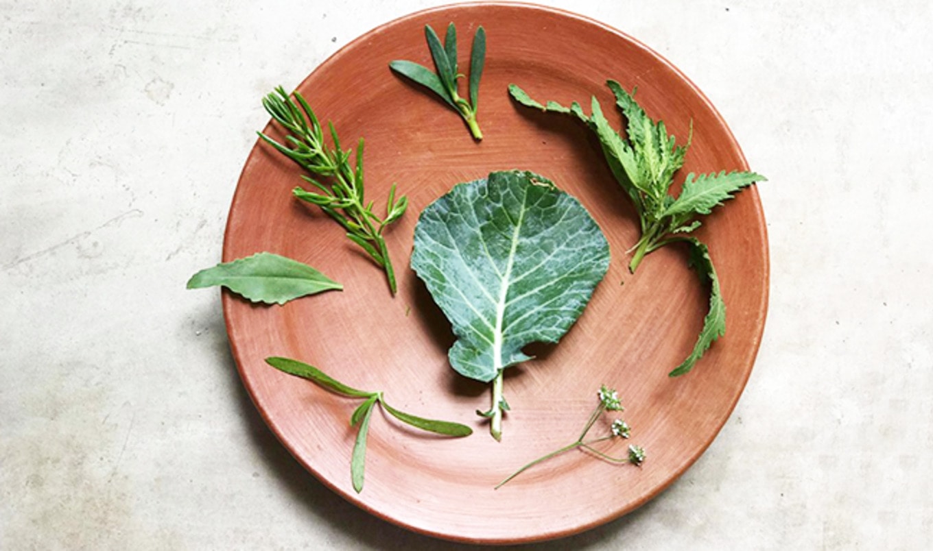 World's Best Restaurant NOMA to Serve Vegan Menu