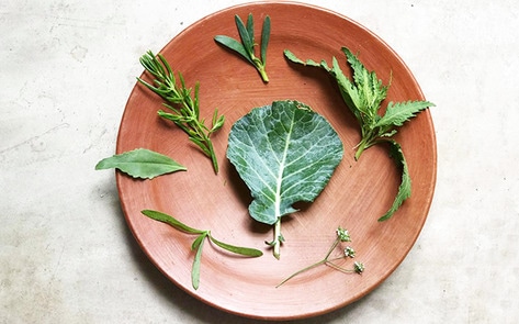 World's Best Restaurant NOMA to Serve Vegan Menu