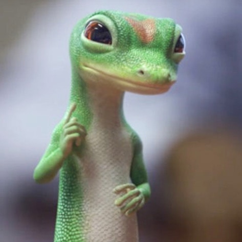 VegNewsGEICO