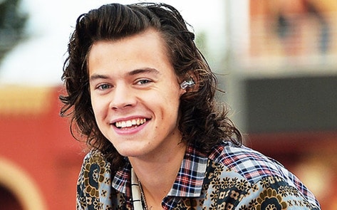 Harry Styles Ends European Tour with Vegan Pie Prank