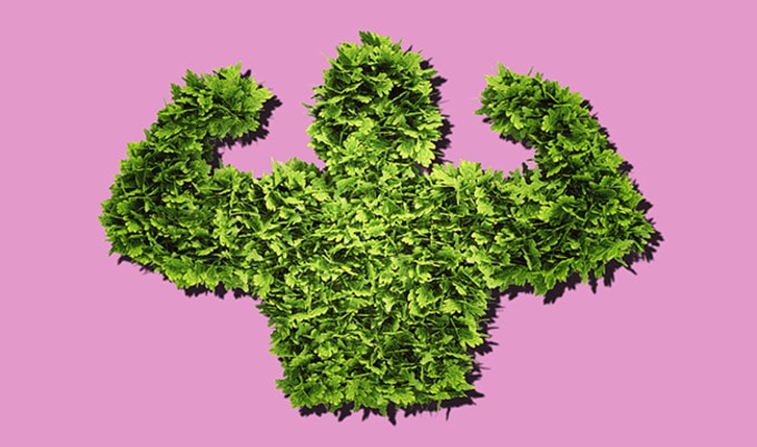 VegNews.ManPlantOutline