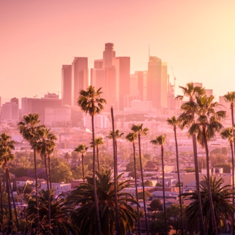 100,000-Square-Foot Vegan Block Party Hits LA