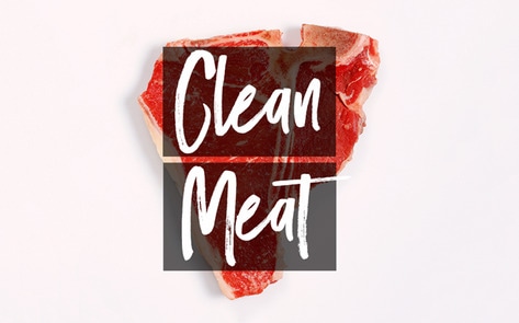 Startup Develops Method to Grow Slaughter-Free Steak