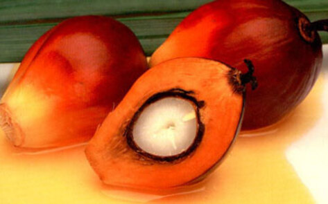 Sustainable Palm Oil