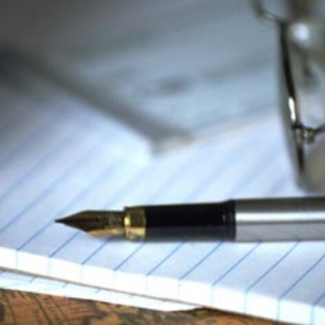 NY Bill To Ban Tail Docking