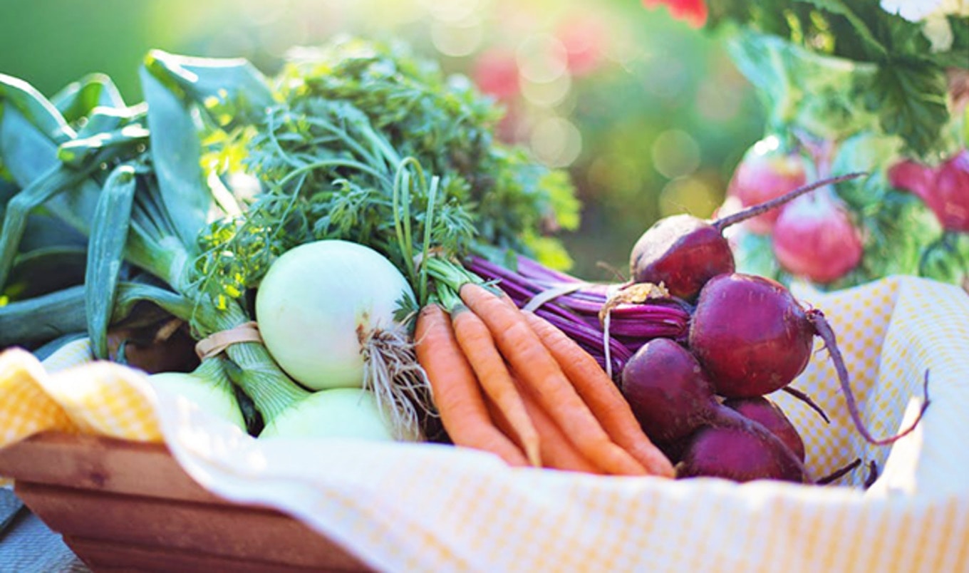 56 Percent of Young Brits Tried Veganism Last Year