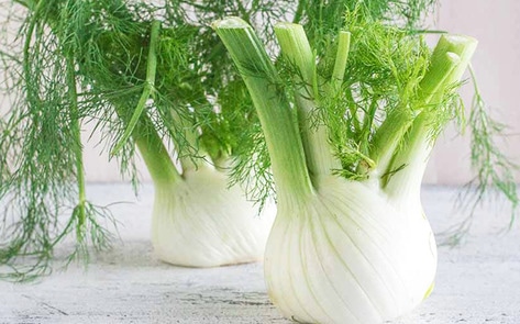 VegNewsFennel