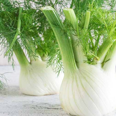 VegNewsFennel