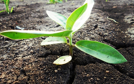 Plant-Based Business Bootcamp Debuts in London