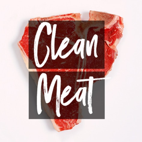 VegNews.CleanMeat3