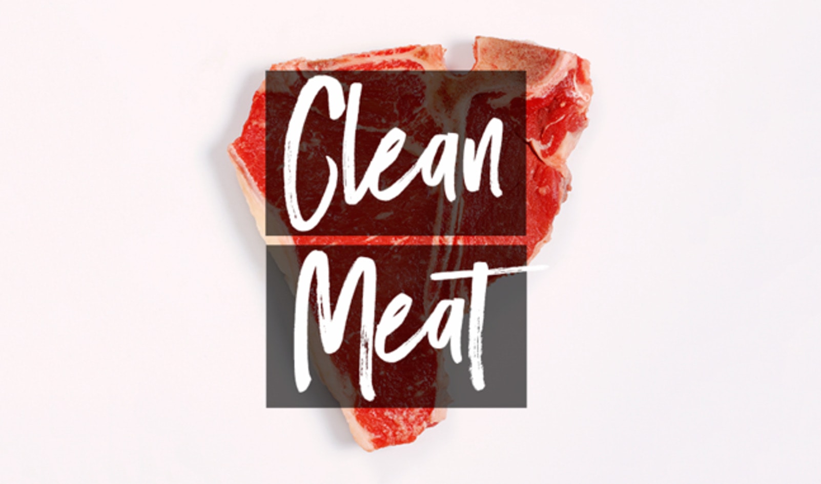 JUST Strikes Historic Deal with Japanese Cattle Ranchers to Make Slaughter-Free Wagyu Beef