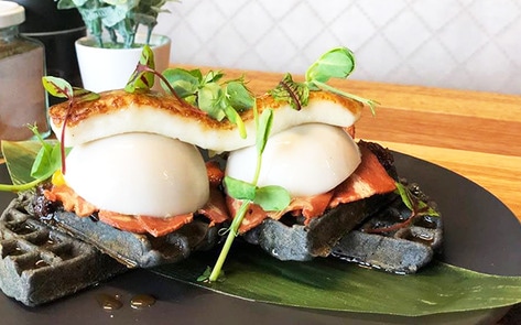 Australia's Top Airline Promotes Vegan Bacon and Eggs