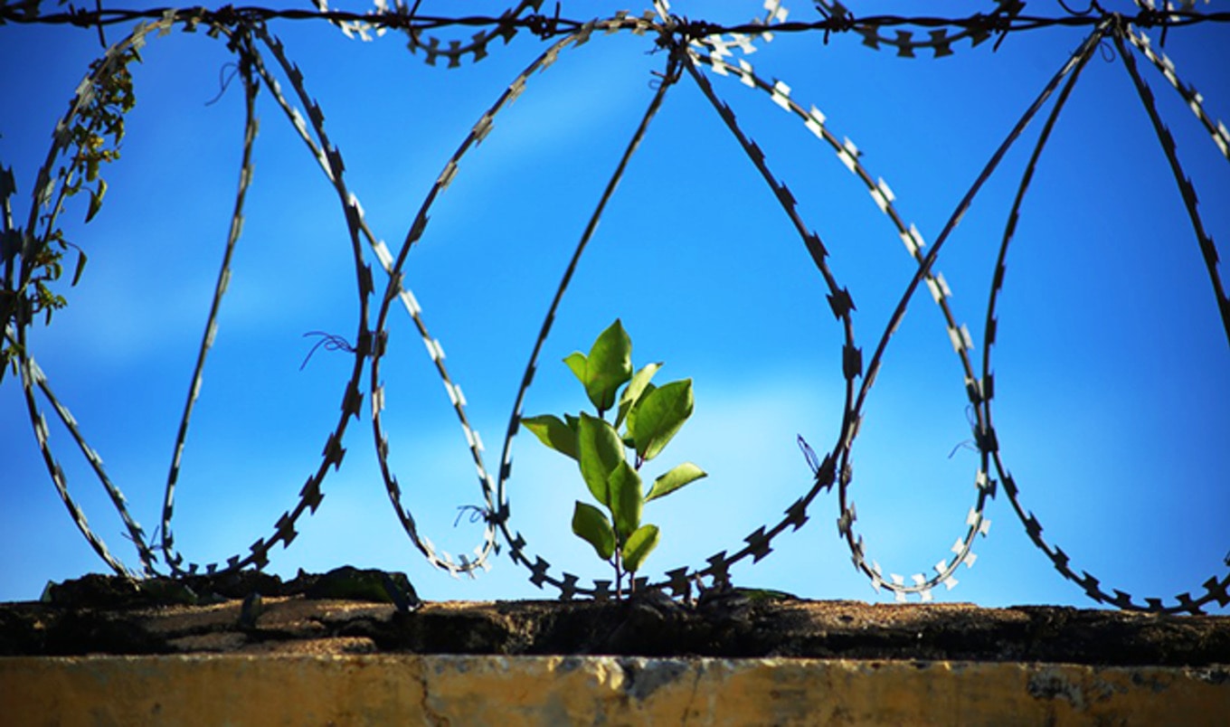 CA Senate Passes Mandatory Vegan Prison-Food Bill