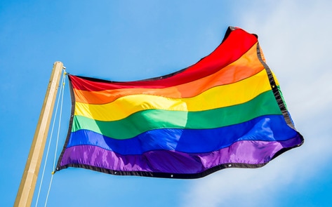 VegNews.RainbowFlag