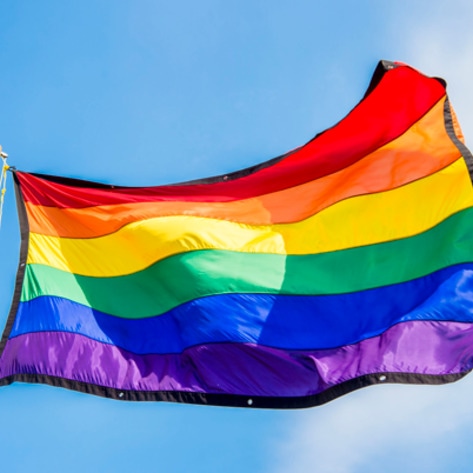 VegNews.RainbowFlag
