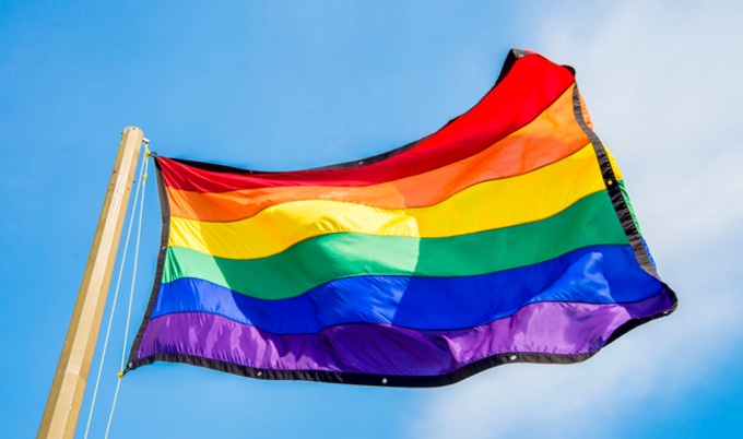 VegNews.RainbowFlag