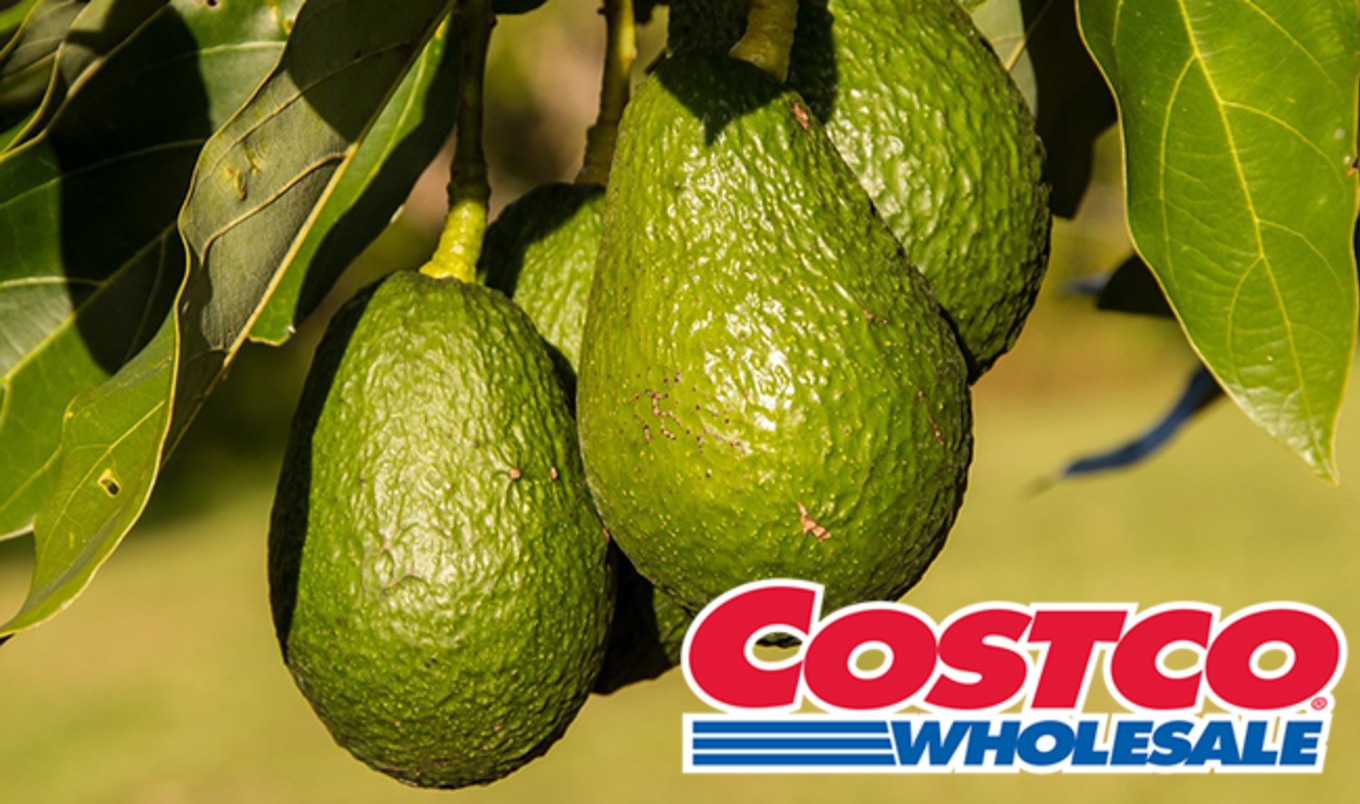 Avocados That Last 50 Percent Longer Debut at Costco