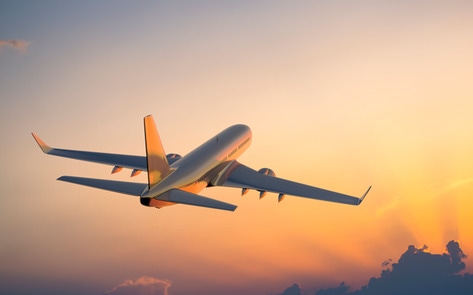 The Ultimate Vegan Travel Essentials Guide