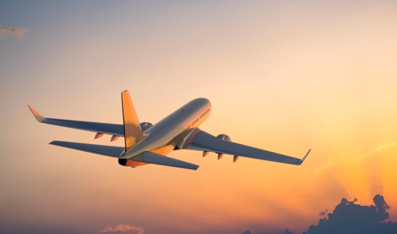 The Ultimate Vegan Travel Essentials Guide