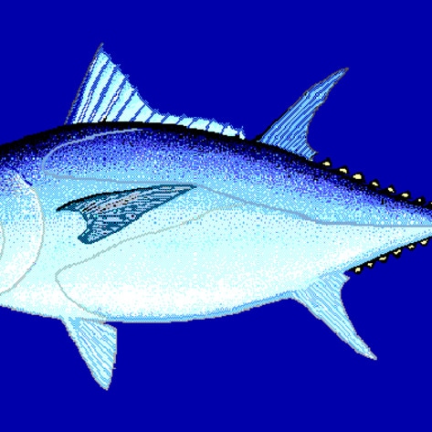 VegNewsBluefishTuna3