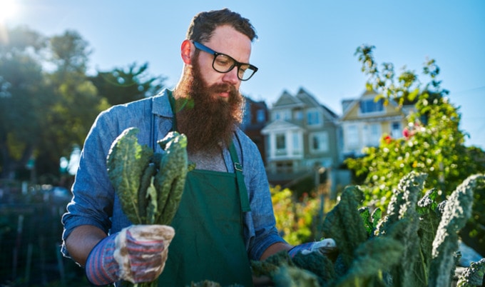 VegNews.UrbanFarming