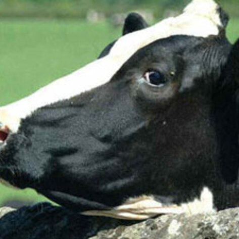 Ohio Approves Issue Two