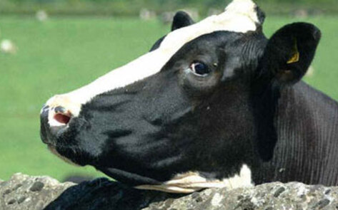 Ohio Approves Issue Two