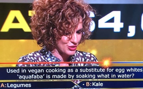 Australia’s <i>Millionaire Hot Seat</i> Poses Impossible Aquafaba Question