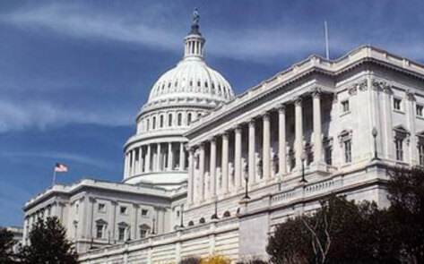 DC Dining Scene Embraces Vegetarian Menu Items