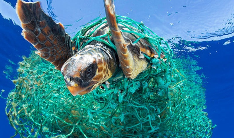 Bildresultat för plastic in the oceans
