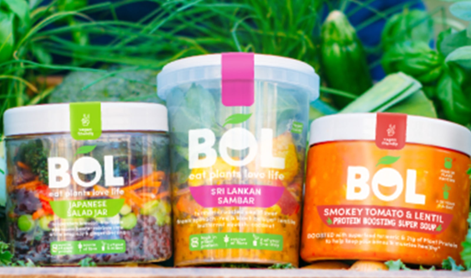 Salad Jar Company BOL Foods Goes Vegan