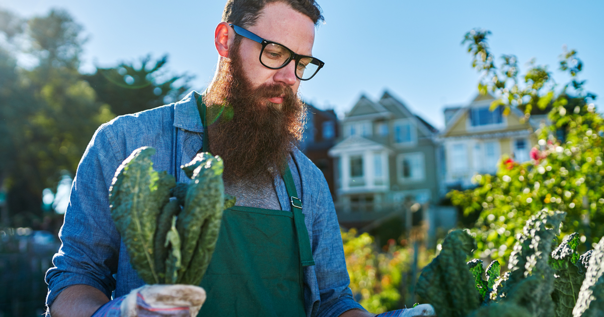 8 Simple Ways for City Dwellers to Grow Farm-to-Table Vegetables - Vimarsana News