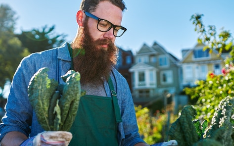 8 Simple Ways for City Dwellers to Grow Farm-to-Table Vegetables