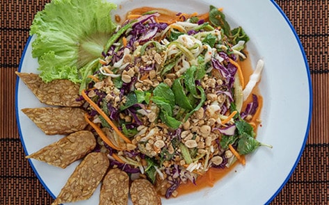 Cambodian Dog-Meat Restaurant Goes Vegan